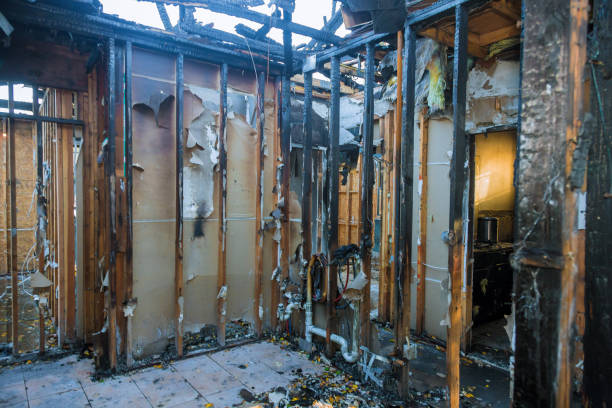 Professional Fire Damage Assessment technician working in Henderson, KY